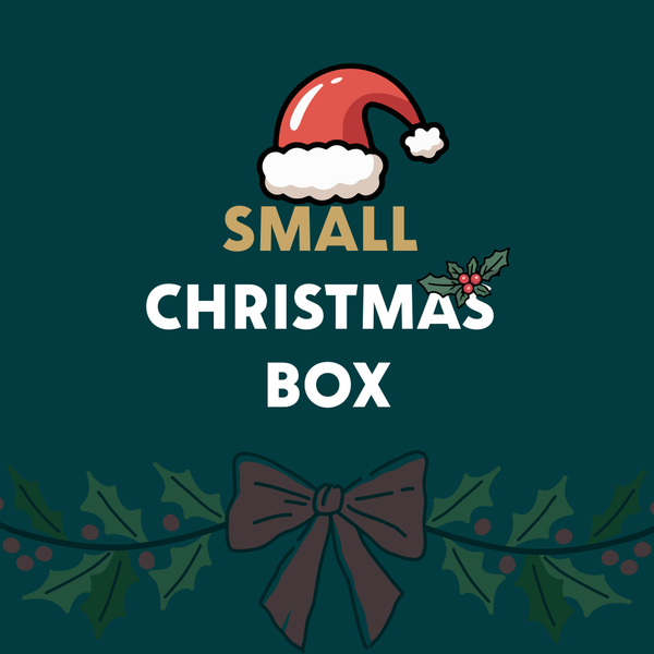 Small Christmas Box - Christmas Delivery