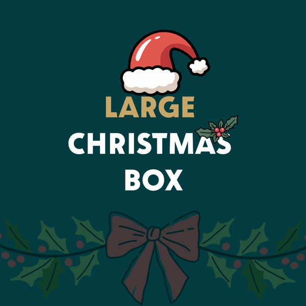 Large Christmas Box - Christmas Delivery