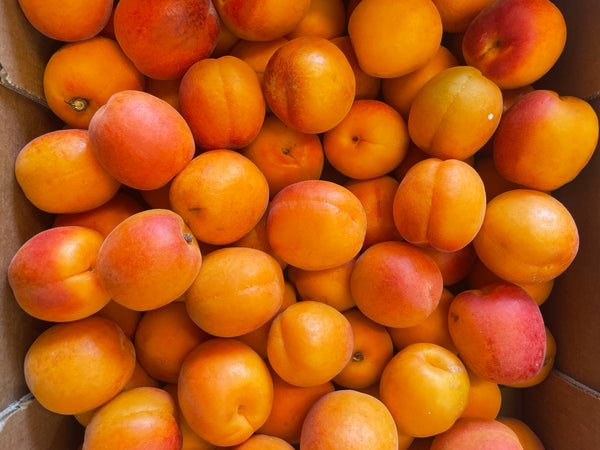 Apricots - 300g