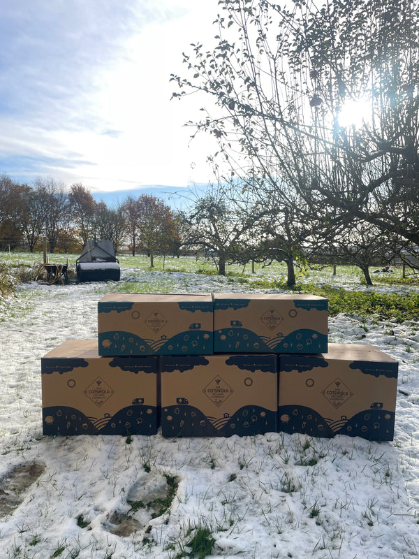 Small Christmas Box - Christmas Delivery