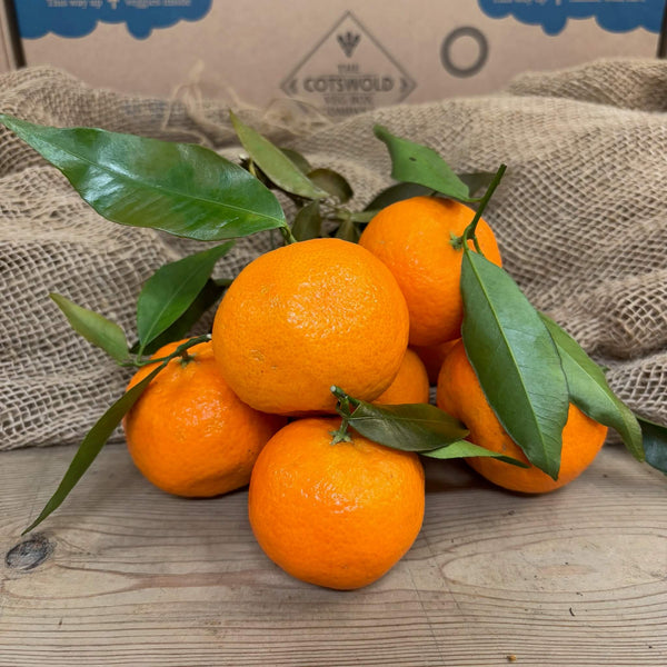 A group of clementines. 