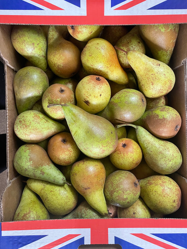 Concorde Pears - x6
