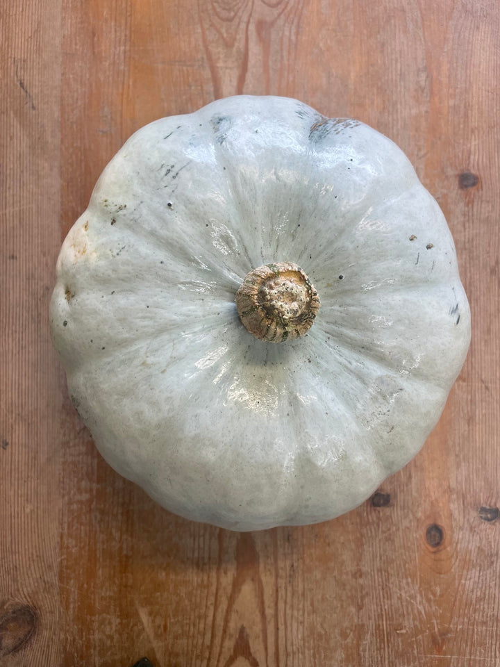 A crown prince squash.