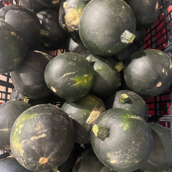 Rolet Squash