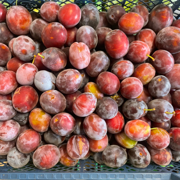 Marjorie Seedling Plums - 400g