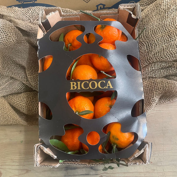 Shoebox Clementines - Christmas Delivery