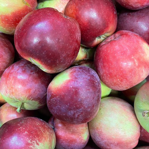 Spartan Apples - x6