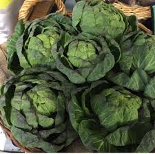 Sprout Tops - Christmas Delivery