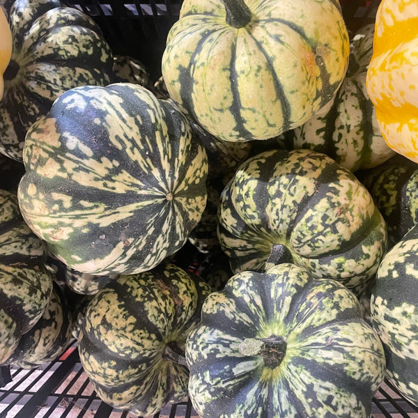 Sweet Dumpling Squash
