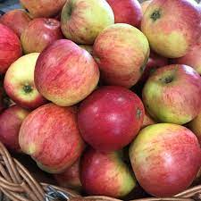 Worcester Pearmain Apples - x6